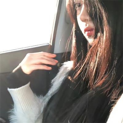 猫头鹰之森